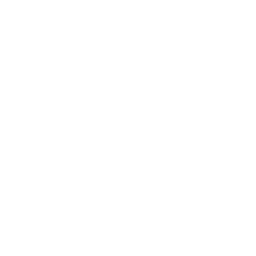 Slayer Espresso Logo_white